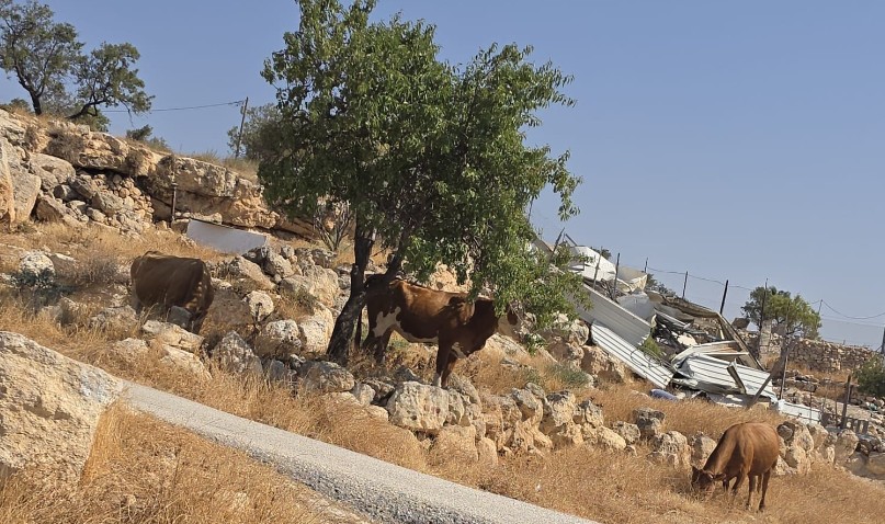 Khirbet al_marajim Sunday, August 9, 2026 – The West Bank