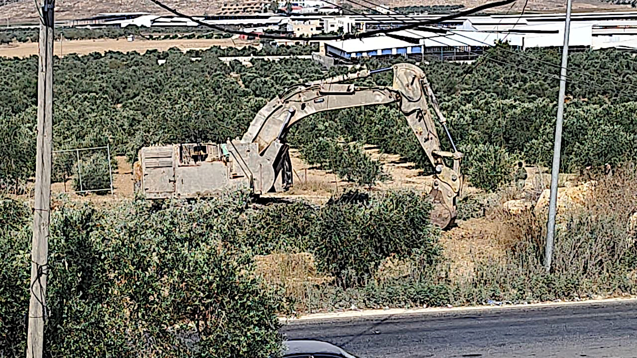 Ajjah Wednesday, August 5, 2026 – The West Bank