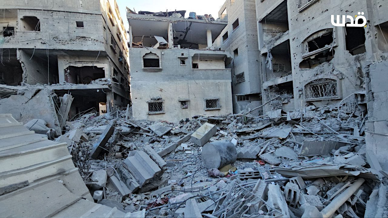 Thursday, November 21, 2024 – The Gaza Strip cover image