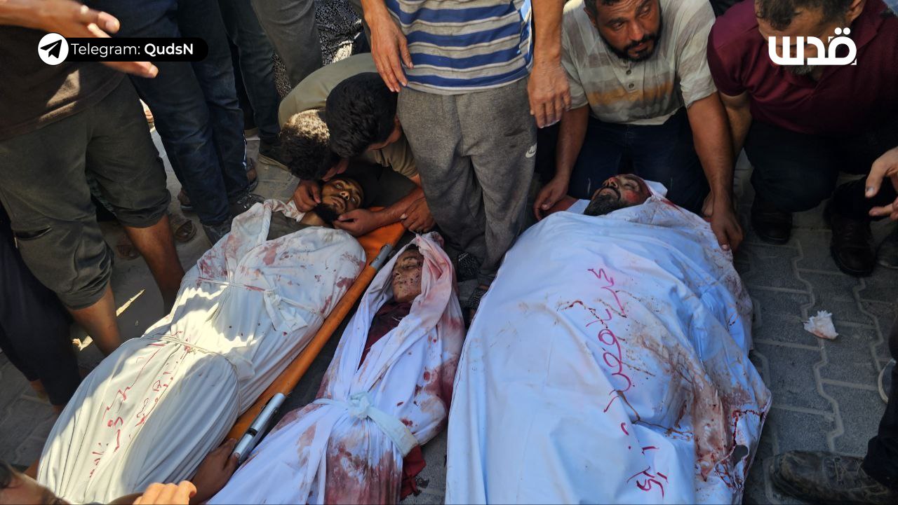 Thursday, September 26, 2024 – The Gaza Strip inline image