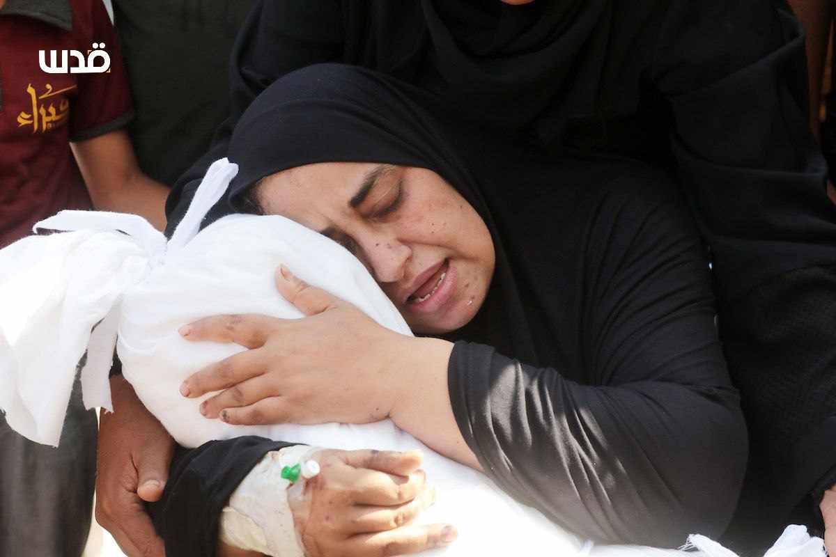 Tuesday, June 25, 2024 – The Gaza Strip inline image