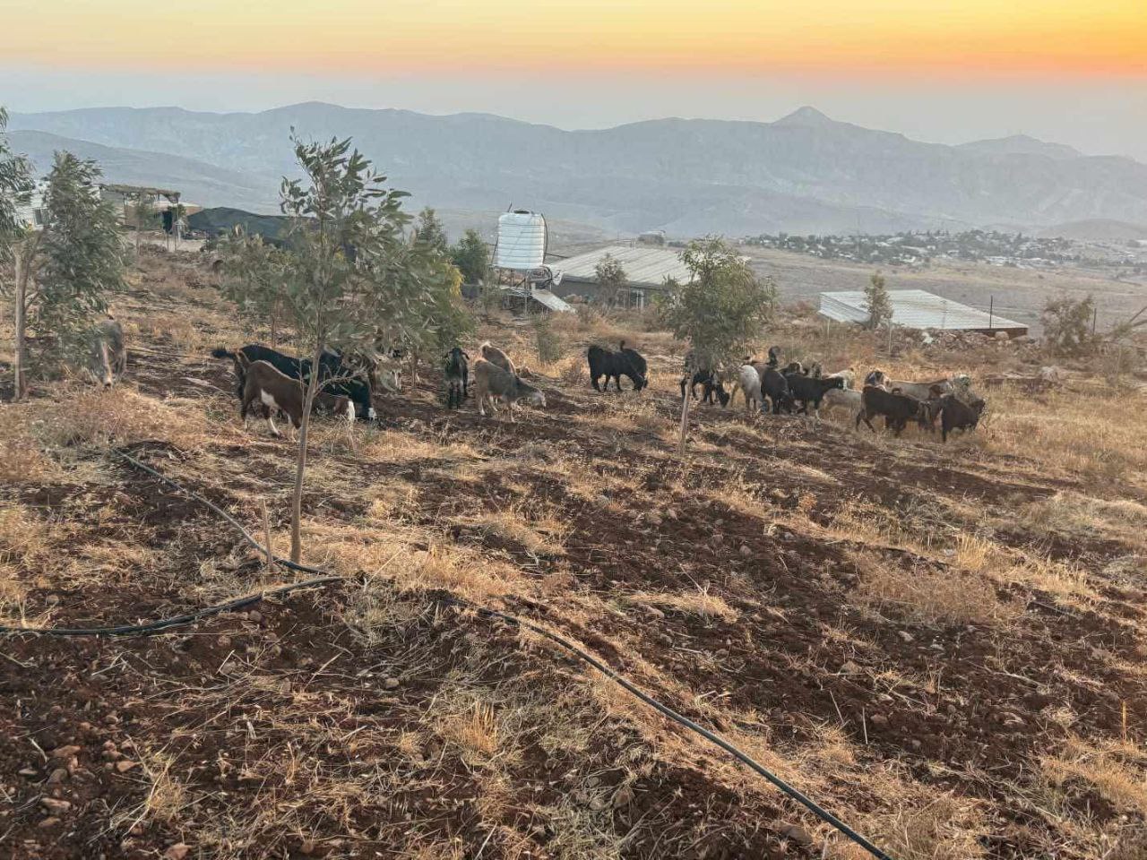Monday, September 15, 2025 – The West Bank inline image