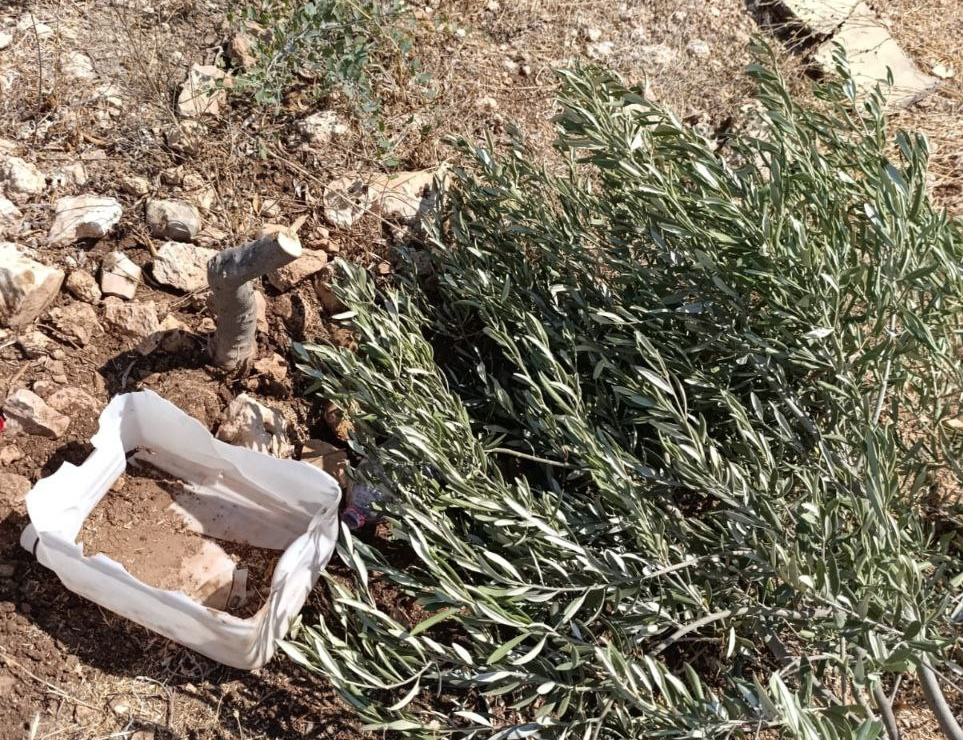 Wednesday, July 2, 2025 – The West Bank inline image