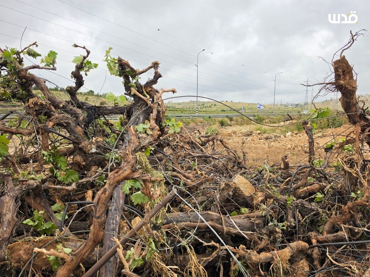Wednesday, May 6, 2026 – The West Bank inline image