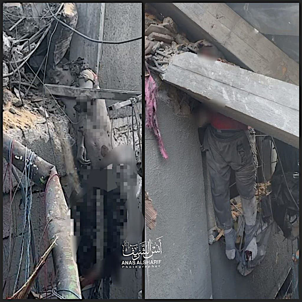 Thursday, November 7, 2024 – The Gaza Strip inline image