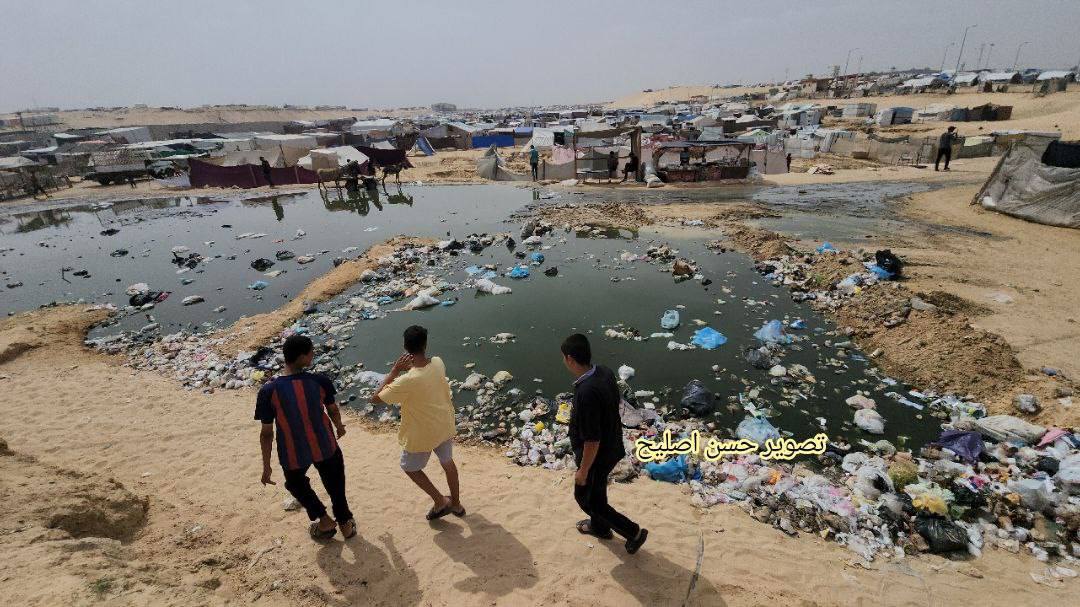 Data, October 7th, 2023 - May 1st, 2024 – The Gaza Strip inline image