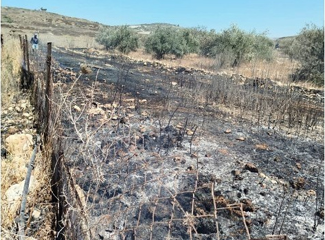 Saturday, September 13, 2025 – The West Bank inline image