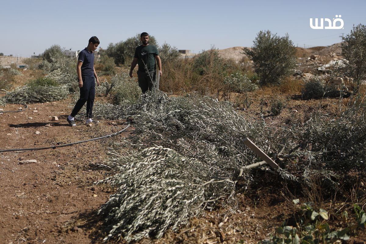 Sunday, October 26, 2025 – The West Bank inline image