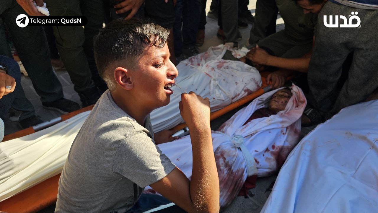 Thursday, September 26, 2024 – The Gaza Strip cover image