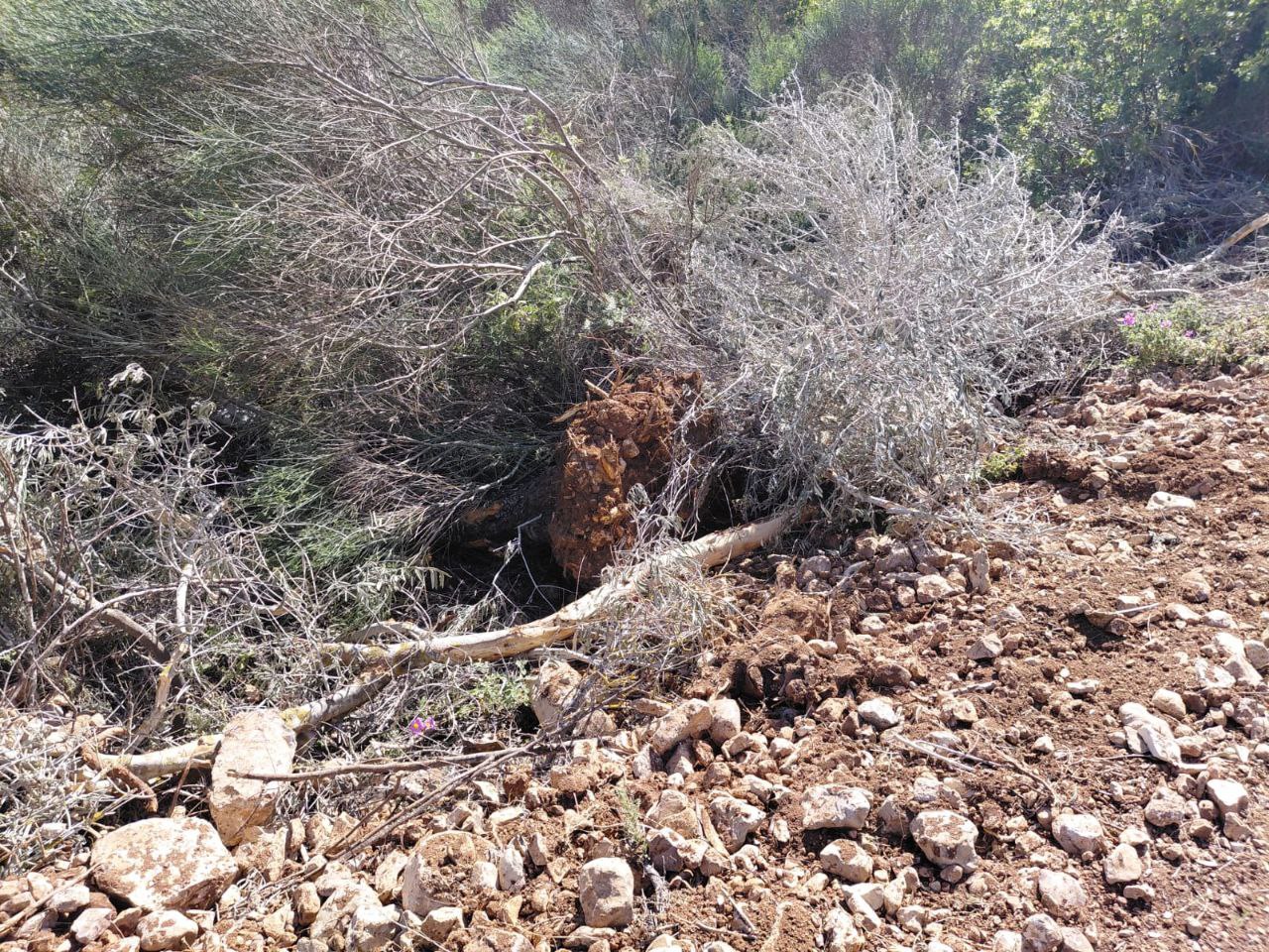 Friday, April 18, 2025 – The West Bank inline image