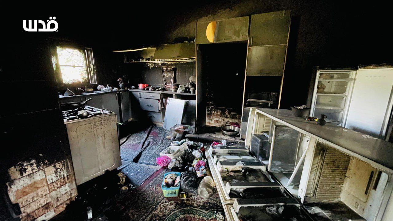 The Daily File - April 9-15, 2024 inline image