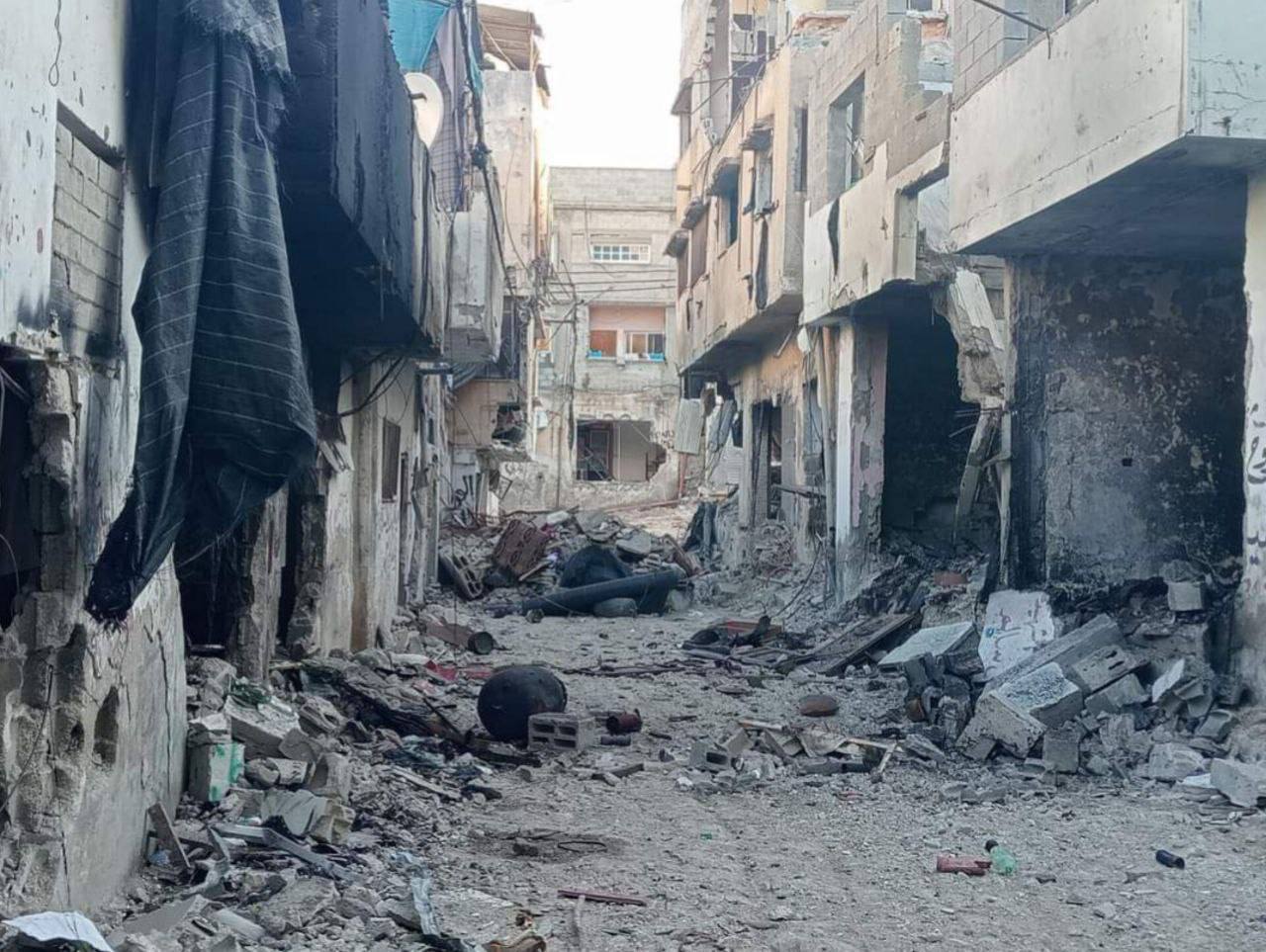 Wednesday, September 4, 2024 – The West Bank inline image