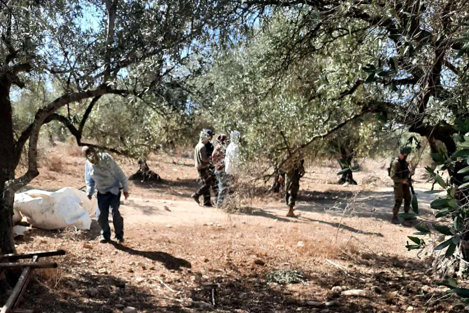 Tuesday, October 22, 2024 – The West Bank inline image
