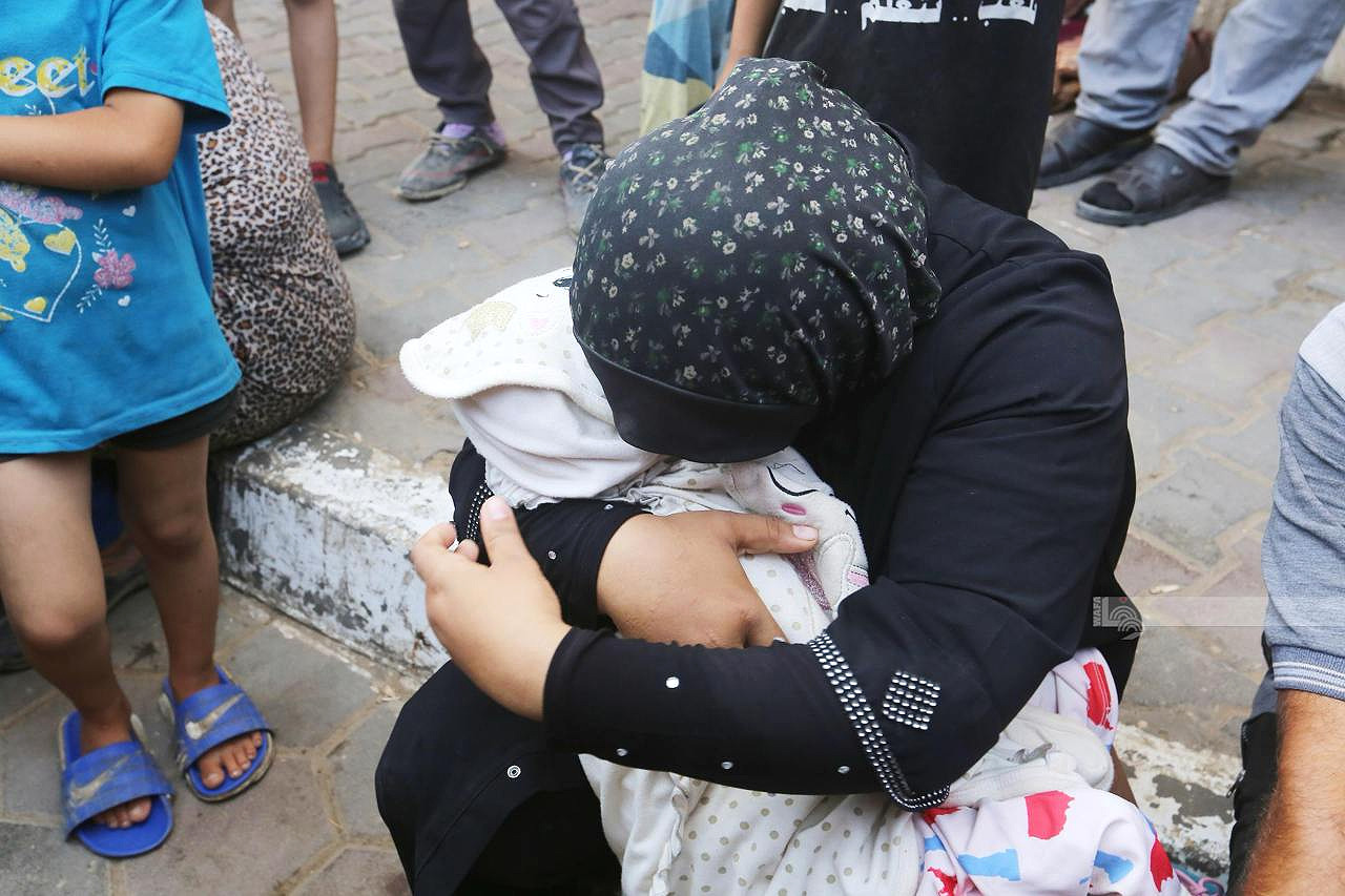 Wednesday, August 14, 2024 – The Gaza Strip cover image