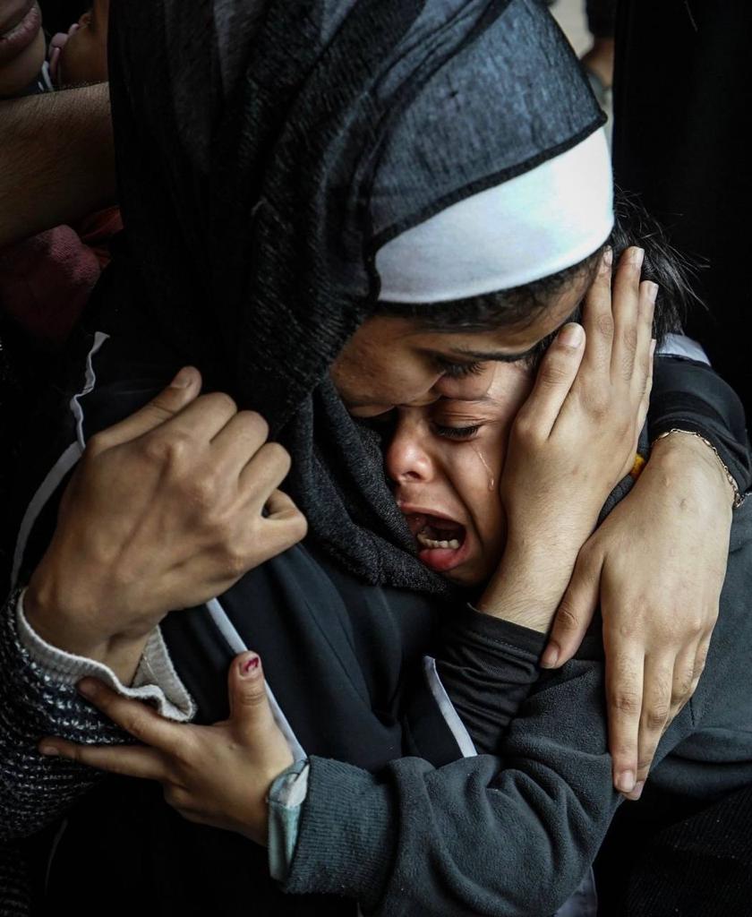 The Daily File - January 2-6, 2024 cover image