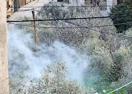 Thursday, February 13, 2025 – The West Bank inline image