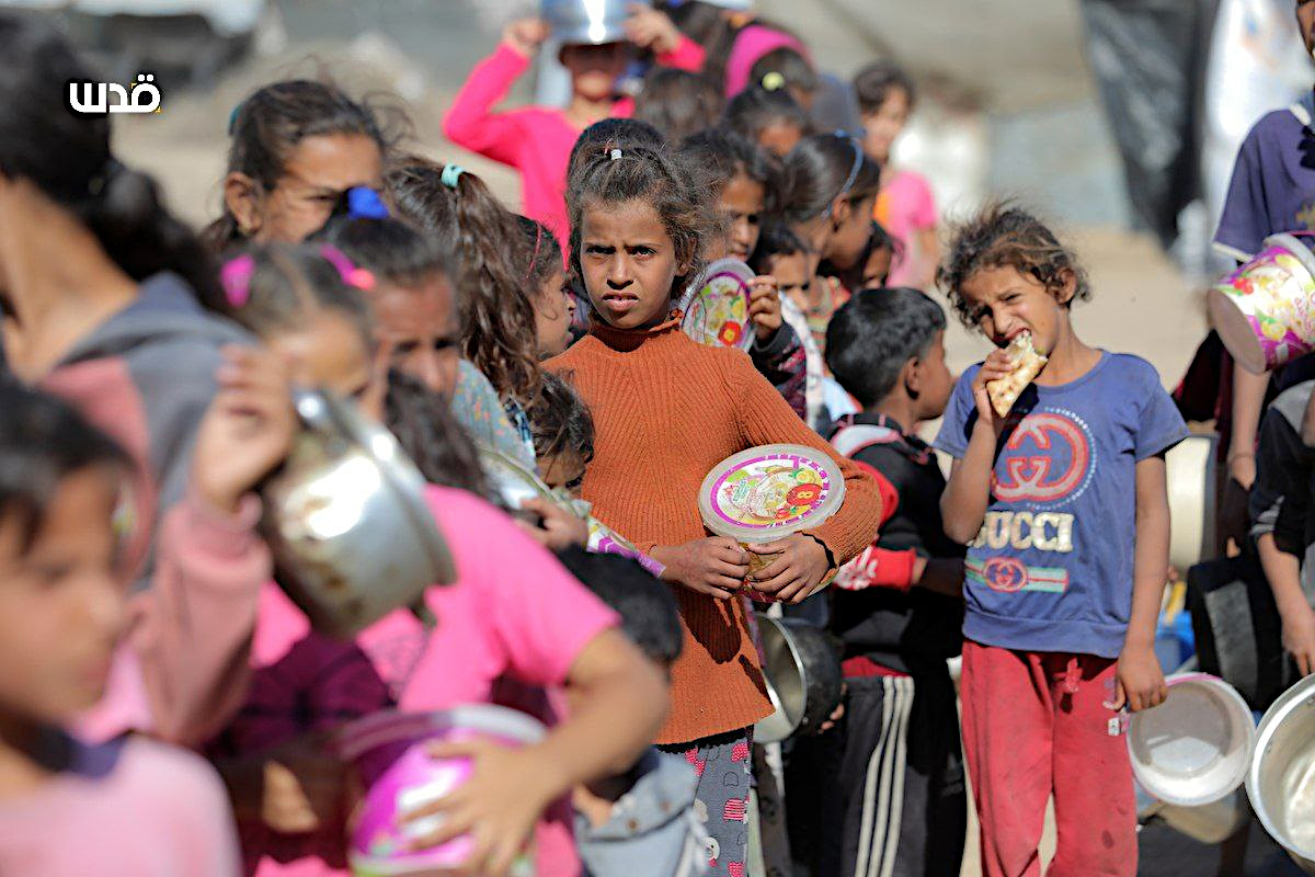 Data, October 7, 2023 - November 15, 2024 – The Gaza Strip inline image