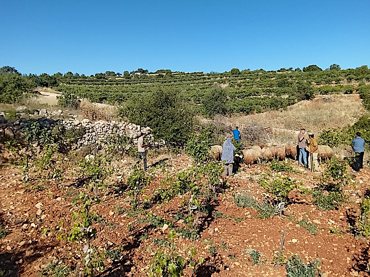 Tuesday, June 2, 2026 – The West Bank inline image