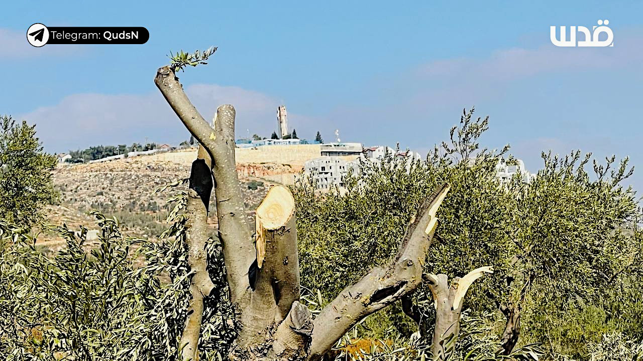 Sunday, October 13, 2024 – The West Bank inline image