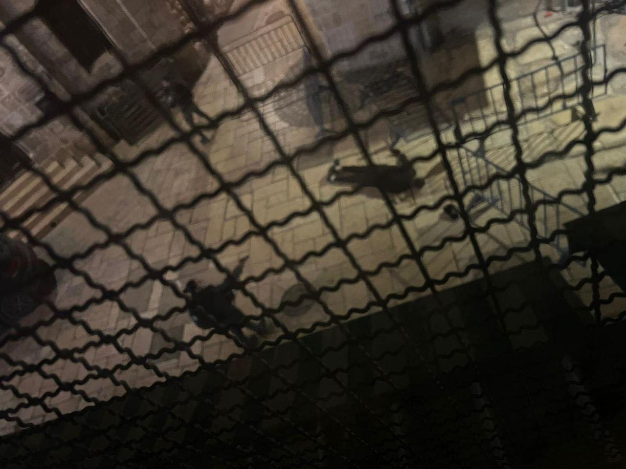 The Daily File - February 9-13, 2024 inline image