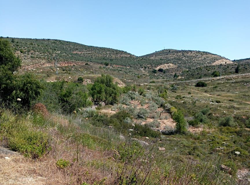 Tuesday, May 6, 2025 – The West Bank inline image