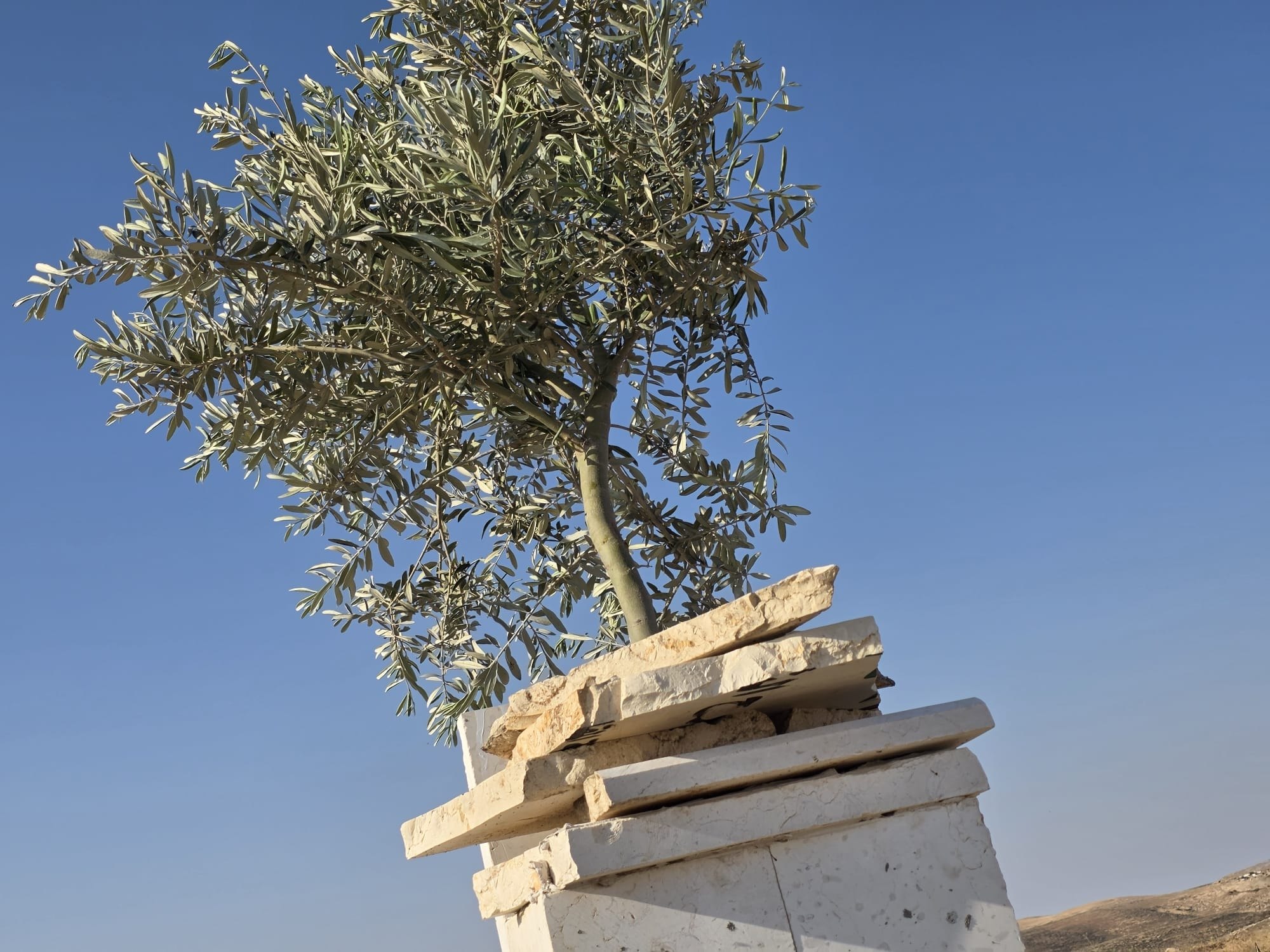 Sunday, May 24, 2026 – The West Bank inline image