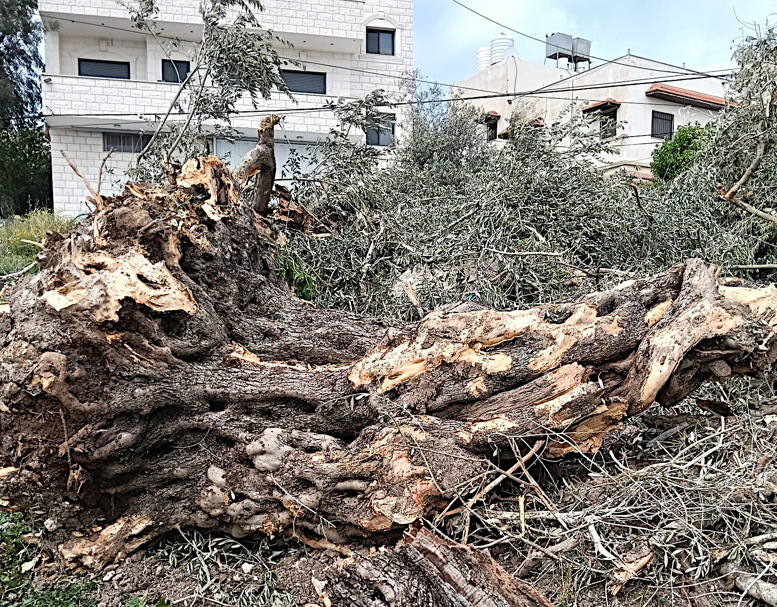 Monday, April 27, 2026 – The West Bank inline image