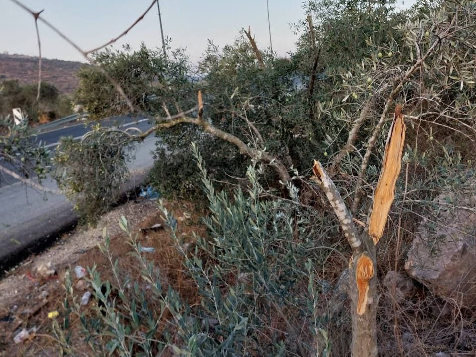 Friday, October 17, 2025 – The West Bank inline image