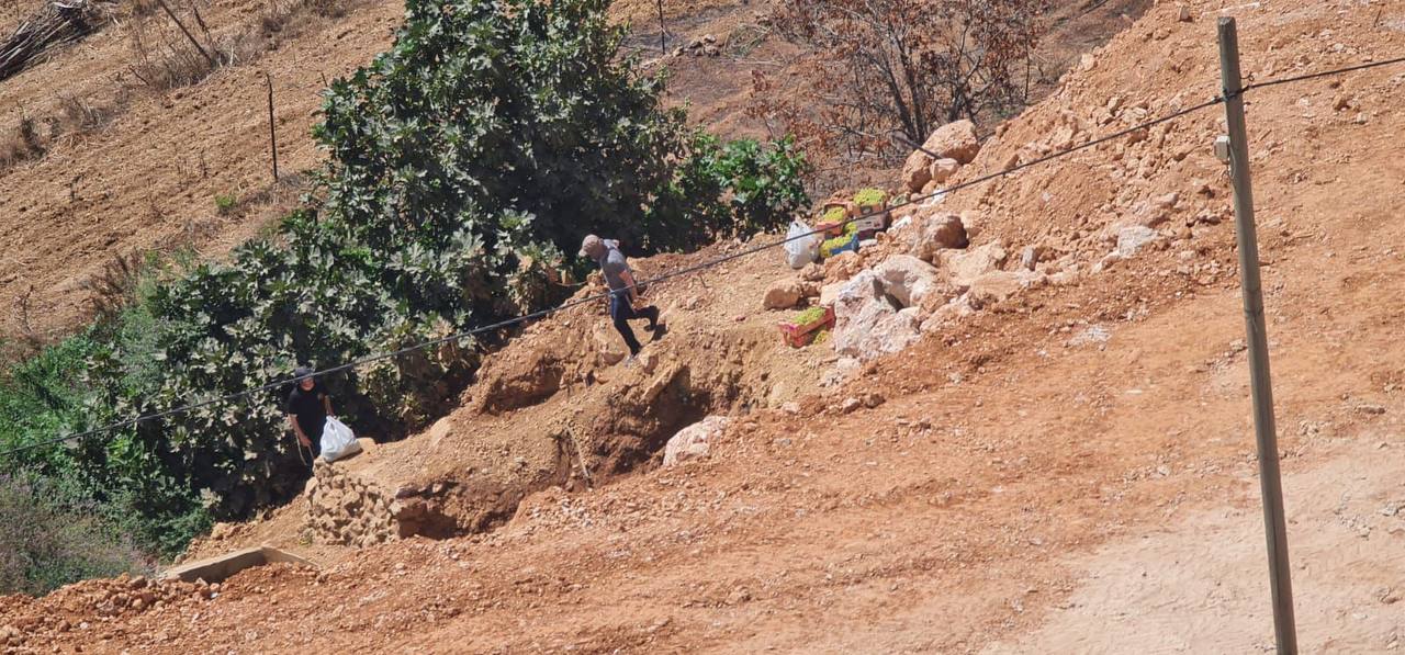 Thursday, August 15, 2024 – The West Bank inline image
