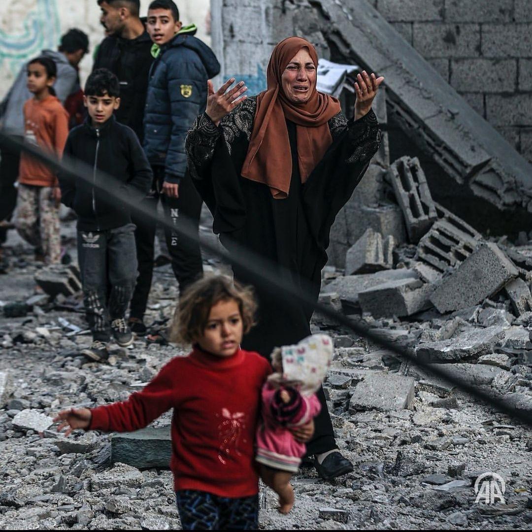 The Daily File - February 14-18, 2024 cover image