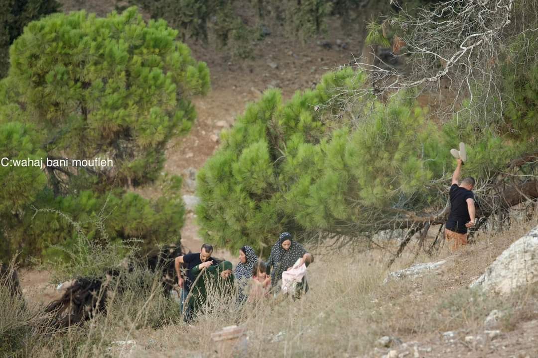 Friday, August 30, 2024 – The West Bank inline image