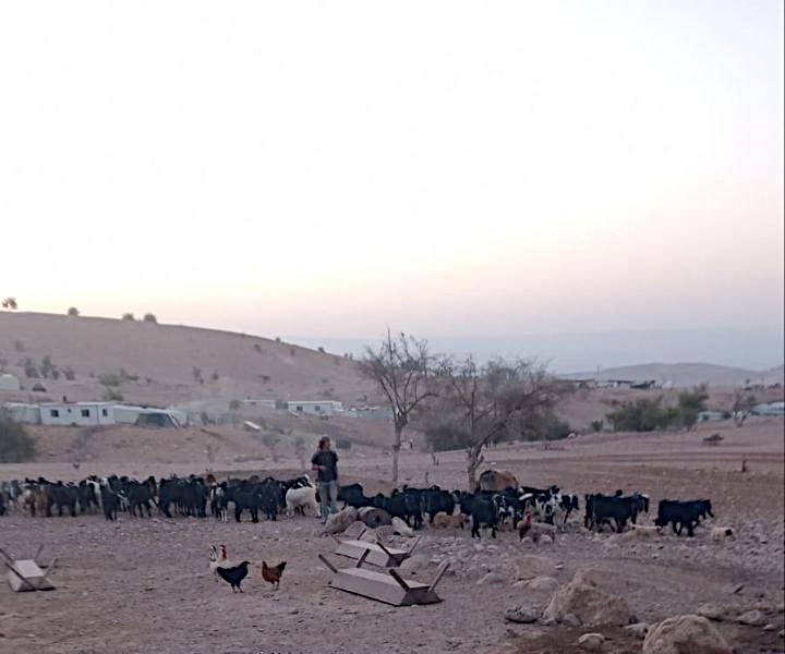 Friday, July 18, 2025 – The West Bank inline image