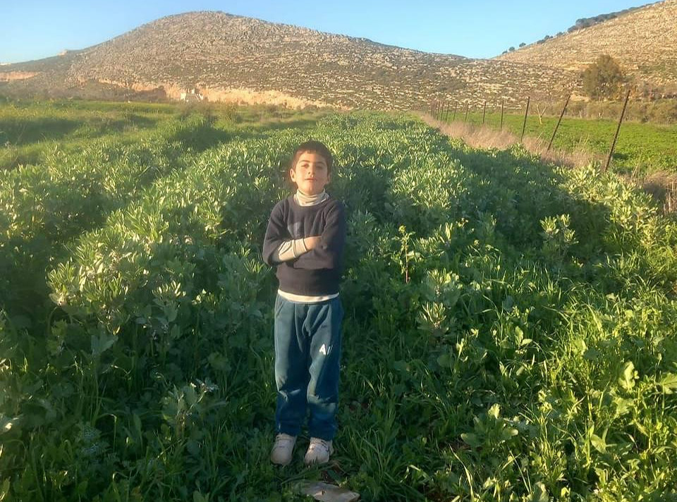 Sunday, June 16, 2024 – The West Bank inline image