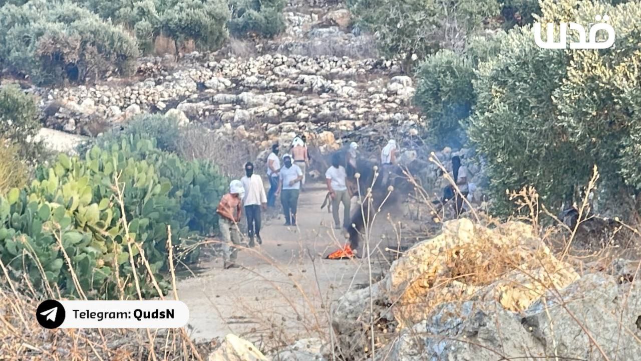 Saturday, August 24, 2024 – The West Bank inline image