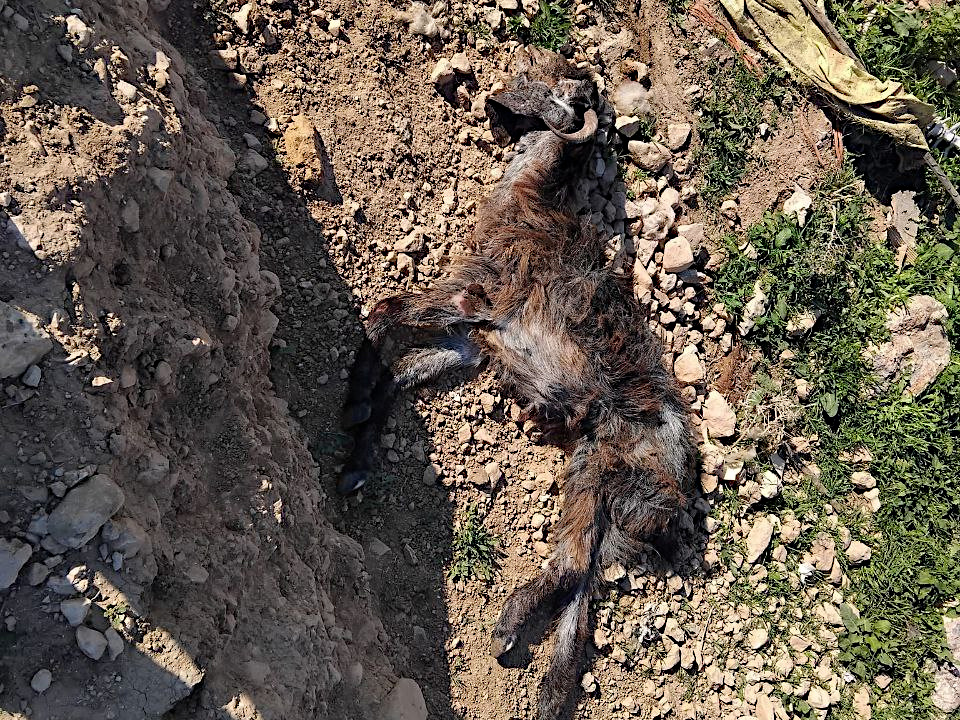 Friday, February 28, 2025 – The West Bank inline image