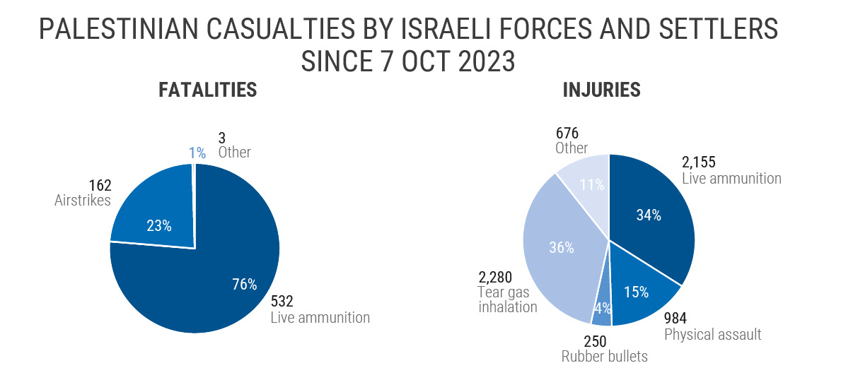 Data, October 7, 2023 – October 7, 2024 – The Gaza Strip inline image