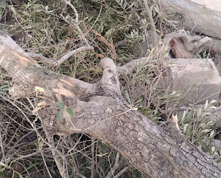 Tuesday, December 10, 2024 – The West Bank inline image