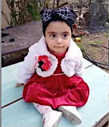 Thursday, August 22, 2024 – The Gaza Strip inline image