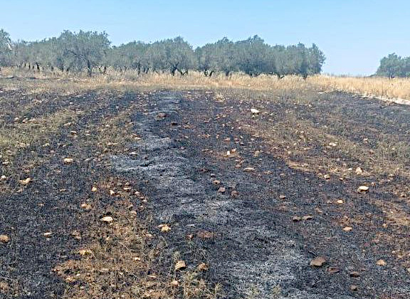 Saturday, May 24, 2025 – The West Bank inline image