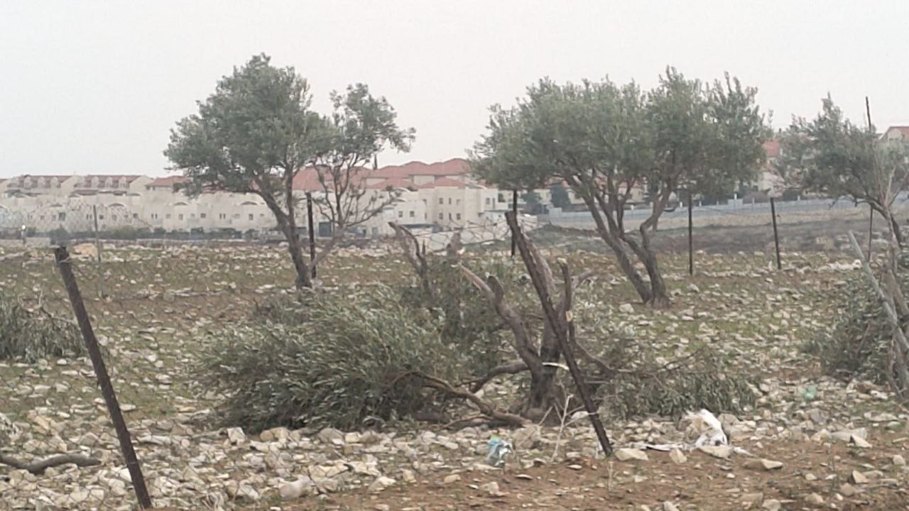 Wednesday, February 26, 2025 – The West Bank inline image