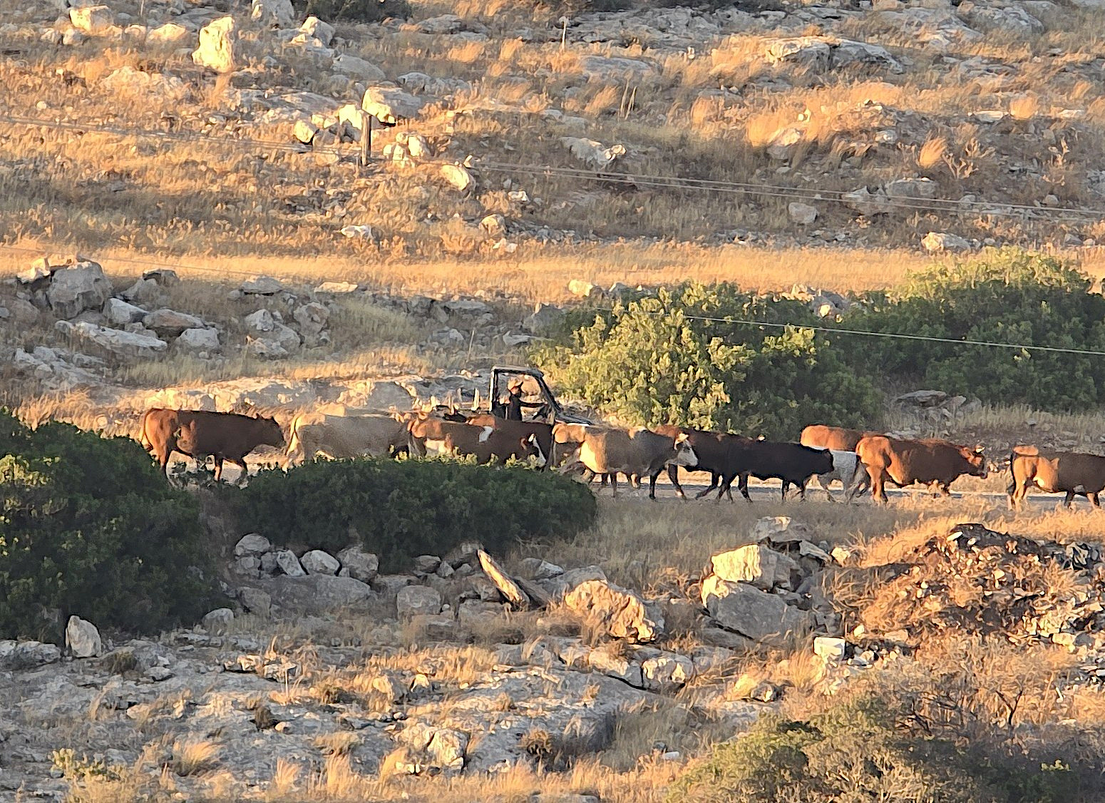 Tuesday, July 21, 2026 – The West Bank inline image