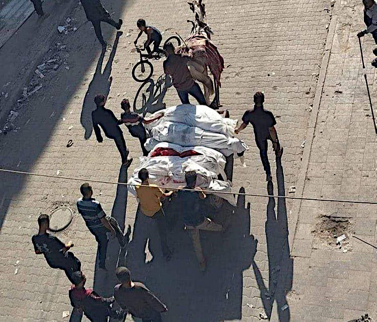 Tuesday, October 29, 2024 – The Gaza Strip inline image