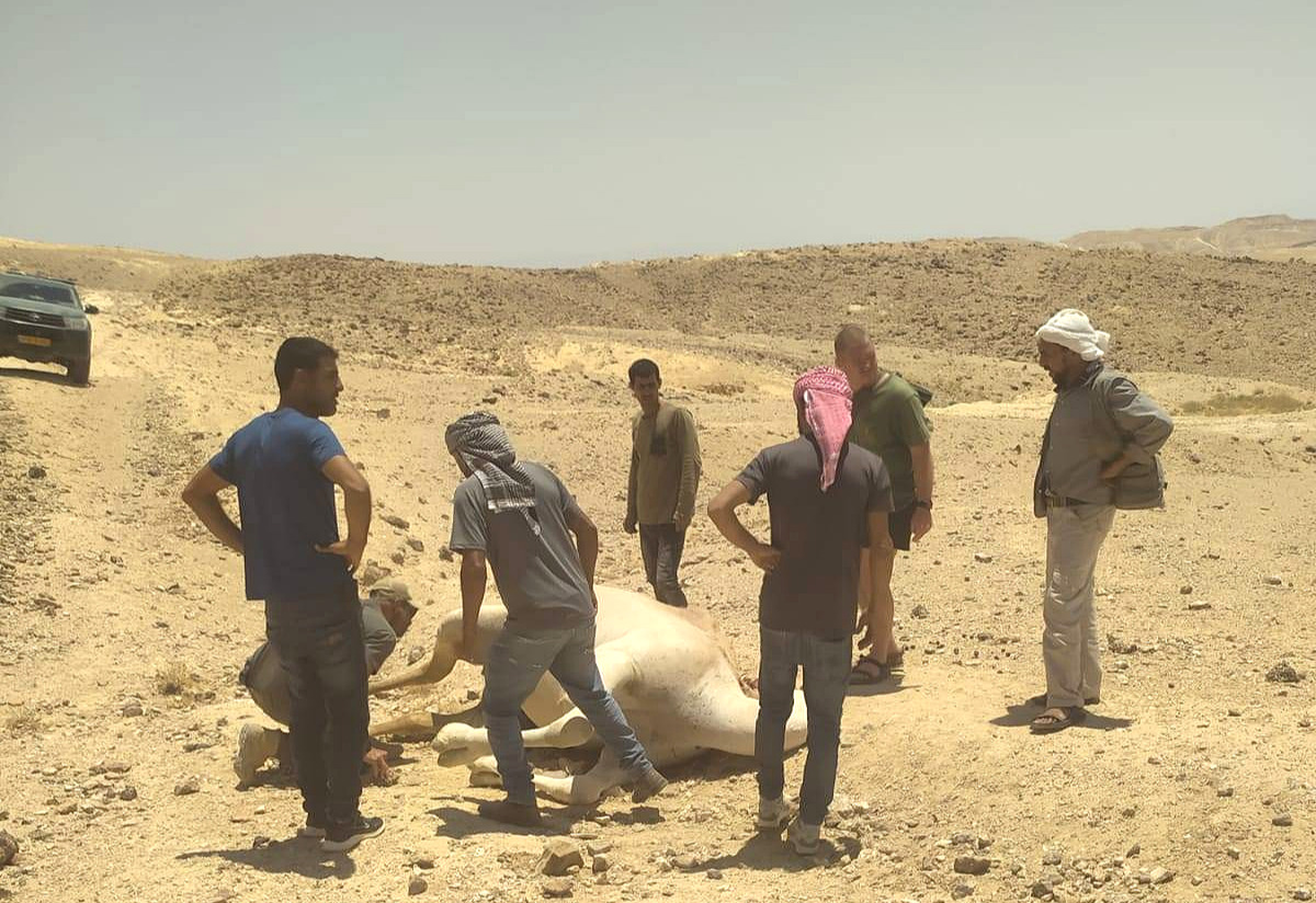 Wednesday, July 10, 2024 – The West Bank inline image