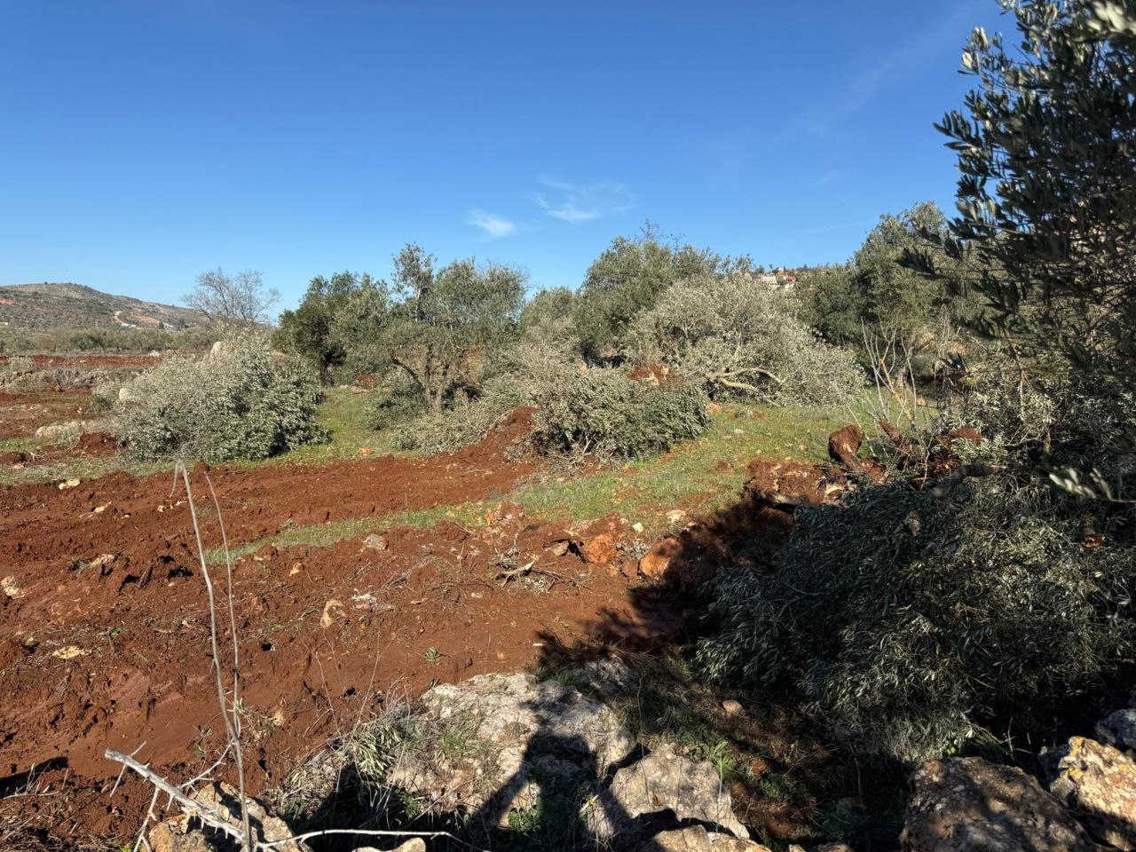 Thursday, February 5, 2026 – The West Bank inline image