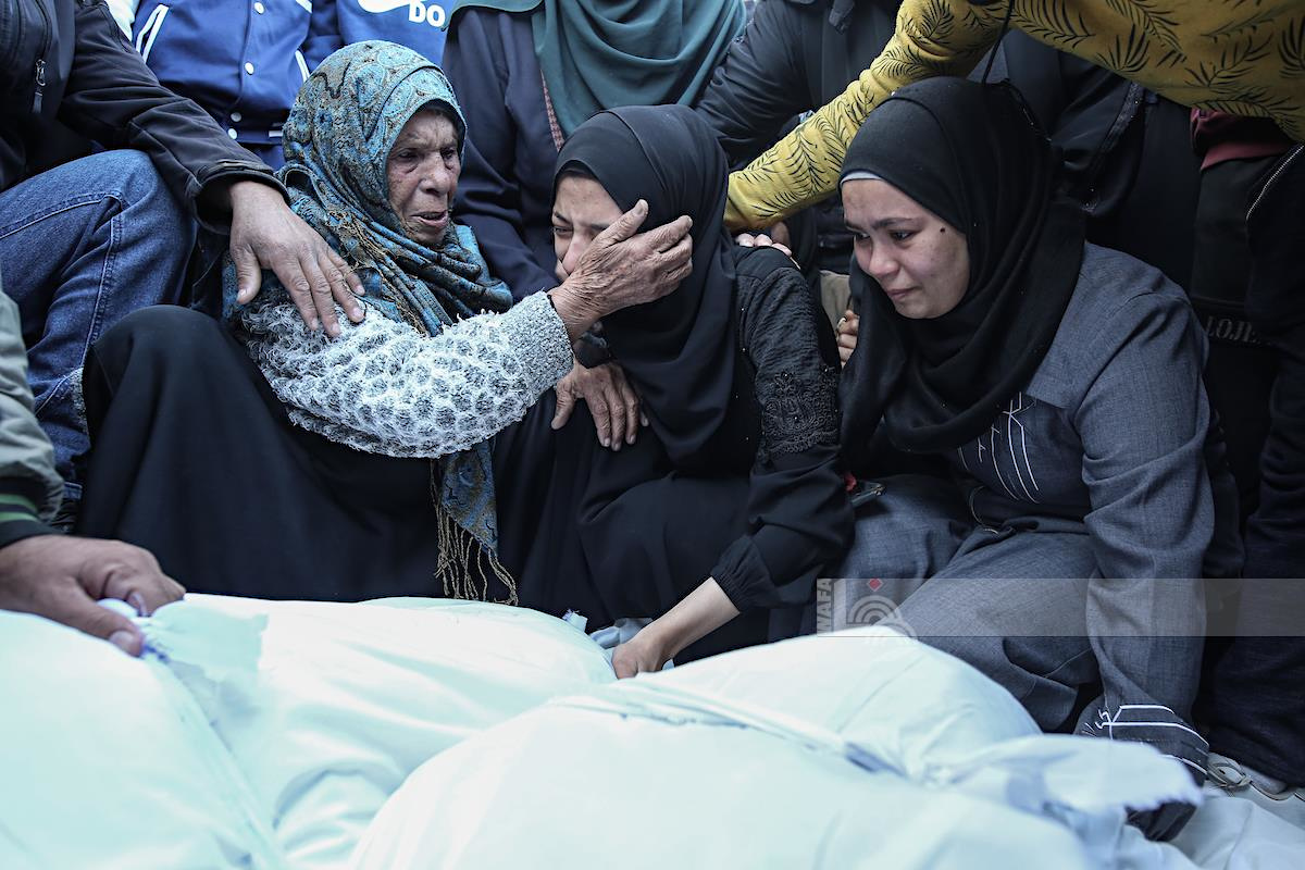 Thursday, November 21, 2024 – The Gaza Strip inline image